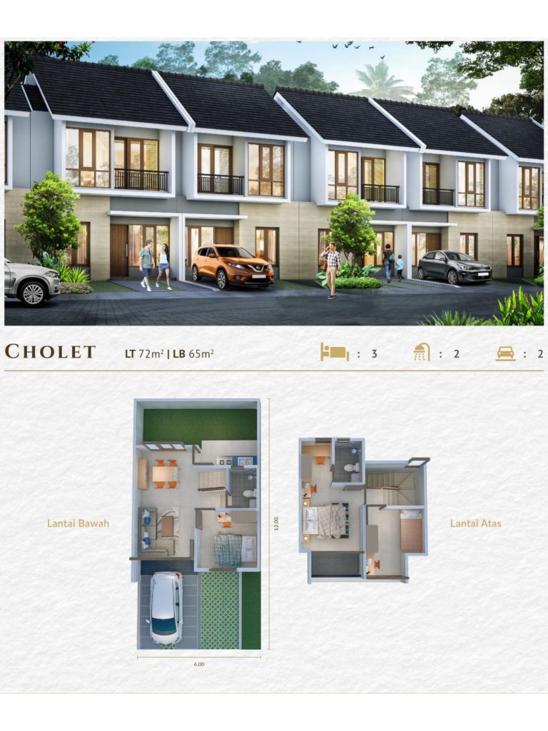 t. cholet lay out