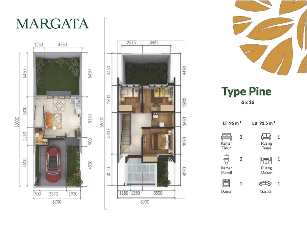 tipe pine lay out