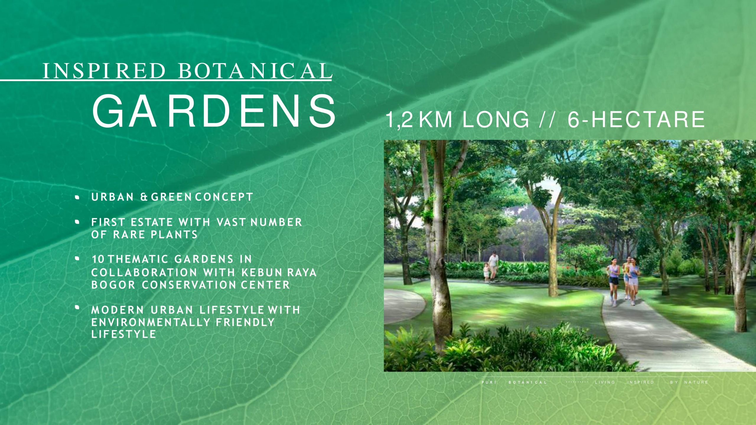 puri-botanical-joglo-jakarta-barat-magnolia